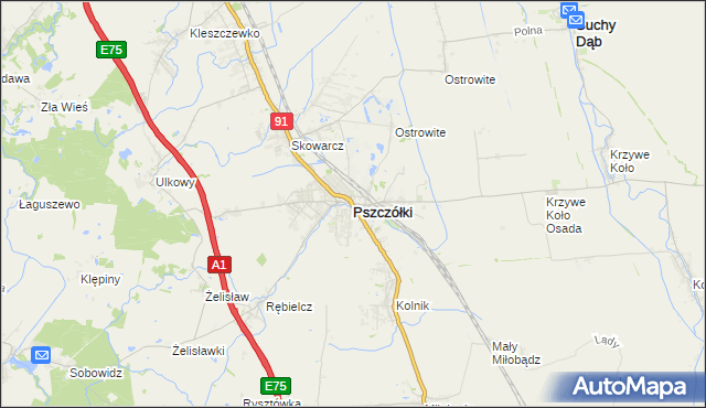 mapa Pszczółki powiat gdański, Pszczółki powiat gdański na mapie Targeo