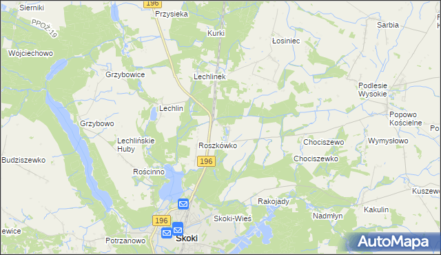 mapa Roszkowo gmina Skoki, Roszkowo gmina Skoki na mapie Targeo