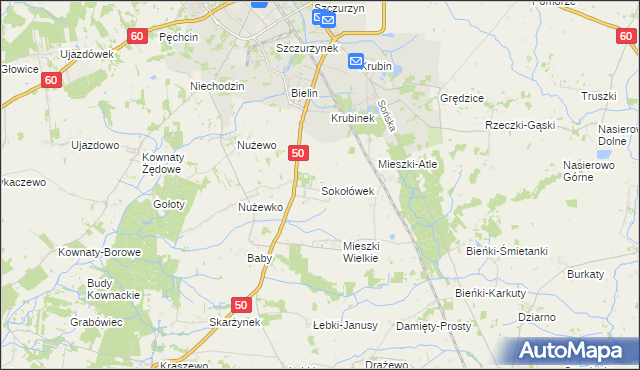 mapa Sokołówek gmina Ciechanów, Sokołówek gmina Ciechanów na mapie Targeo