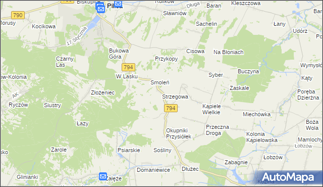 mapa Strzegowa gmina Wolbrom, Strzegowa gmina Wolbrom na mapie Targeo