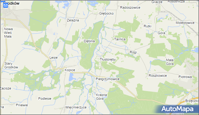 mapa Tłustoręby, Tłustoręby na mapie Targeo