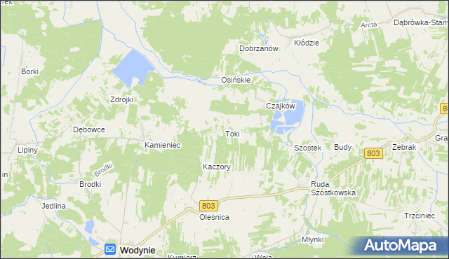 mapa Toki gmina Wodynie, Toki gmina Wodynie na mapie Targeo