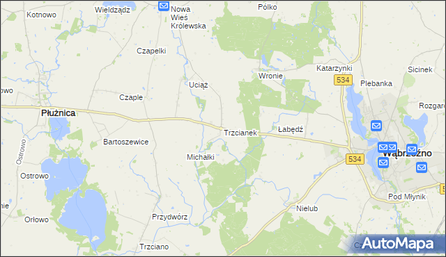 mapa Trzcianek, Trzcianek na mapie Targeo