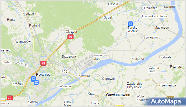 mapa Tursko Małe, Tursko Małe na mapie Targeo