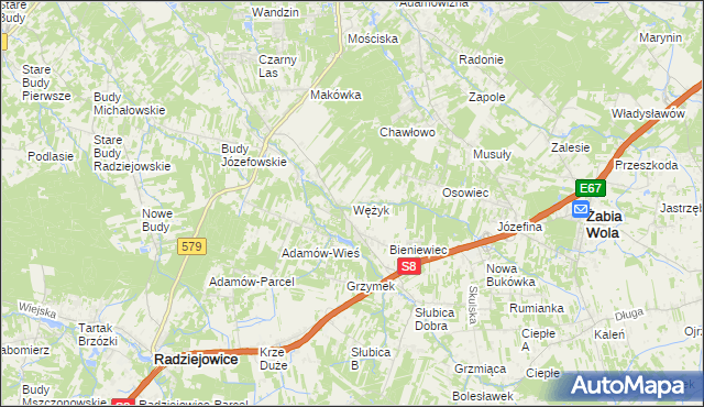mapa Wężyk, Wężyk na mapie Targeo
