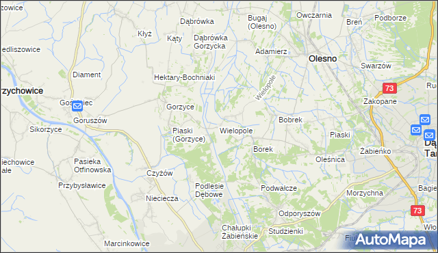 mapa Wielopole gmina Olesno, Wielopole gmina Olesno na mapie Targeo
