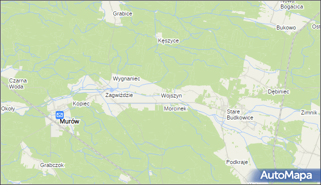 mapa Wojszyn gmina Murów, Wojszyn gmina Murów na mapie Targeo