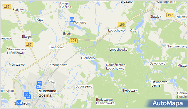 mapa Worowo gmina Murowana Goślina, Worowo gmina Murowana Goślina na mapie Targeo