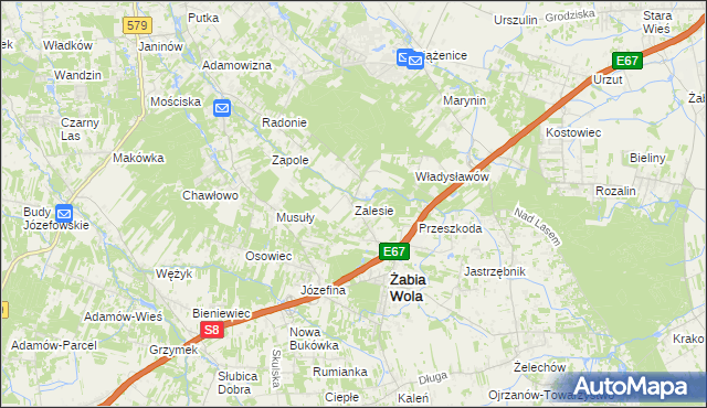 mapa Zalesie gmina Żabia Wola, Zalesie gmina Żabia Wola na mapie Targeo