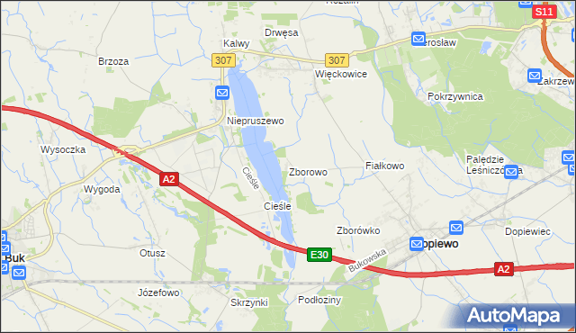 mapa Zborowo, Zborowo na mapie Targeo