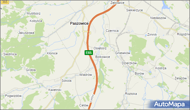 mapa Bolkowice gmina Paszowice, Bolkowice gmina Paszowice na mapie Targeo