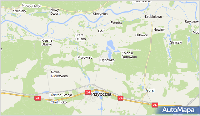 mapa Dębówko gmina Przytoczna, Dębówko gmina Przytoczna na mapie Targeo