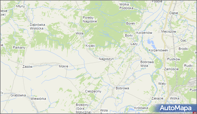 mapa Nagoszyn, Nagoszyn na mapie Targeo