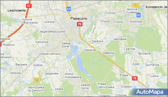 mapa Żabieniec gmina Piaseczno, Żabieniec gmina Piaseczno na mapie Targeo