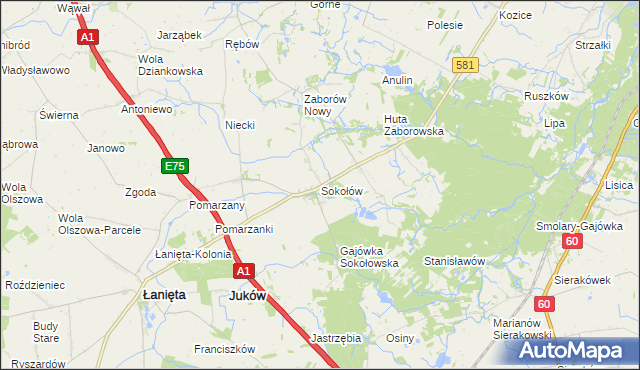 mapa Sokołów gmina Gostynin, Sokołów gmina Gostynin na mapie Targeo