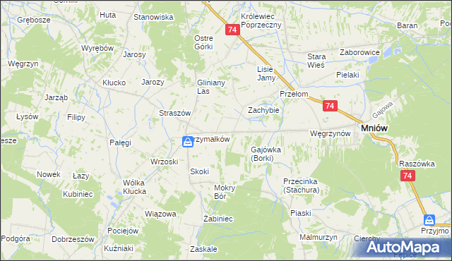 mapa Borki gmina Mniów, Borki gmina Mniów na mapie Targeo