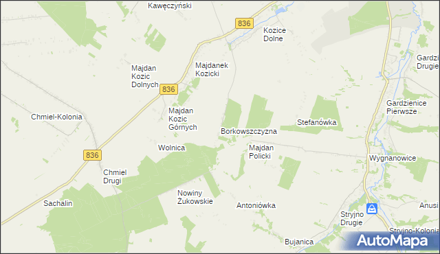 mapa Borkowszczyzna, Borkowszczyzna na mapie Targeo