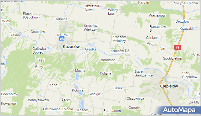 mapa Borowiec gmina Ciepielów, Borowiec gmina Ciepielów na mapie Targeo