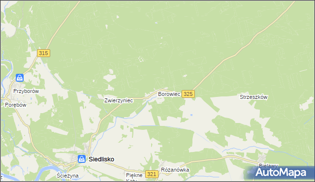 mapa Borowiec gmina Siedlisko, Borowiec gmina Siedlisko na mapie Targeo
