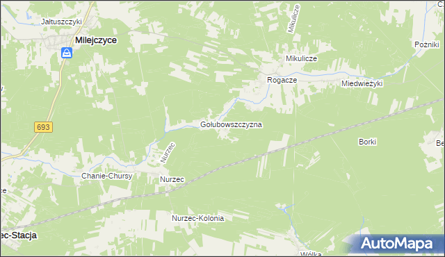 mapa Borowiki, Borowiki na mapie Targeo