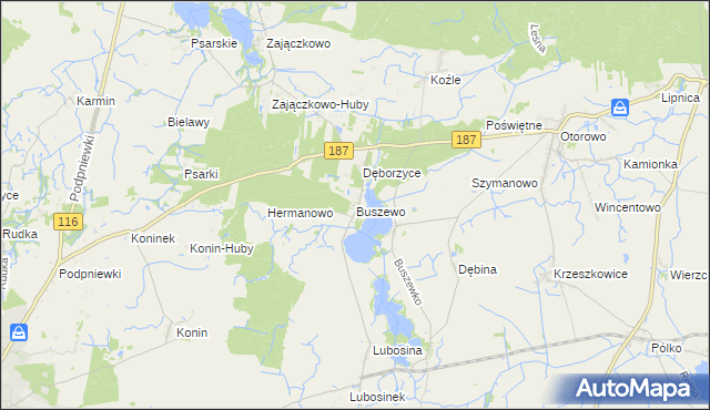 mapa Buszewo gmina Pniewy, Buszewo gmina Pniewy na mapie Targeo
