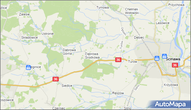 mapa Dąbrowa Dolna gmina Ścinawa, Dąbrowa Dolna gmina Ścinawa na mapie Targeo