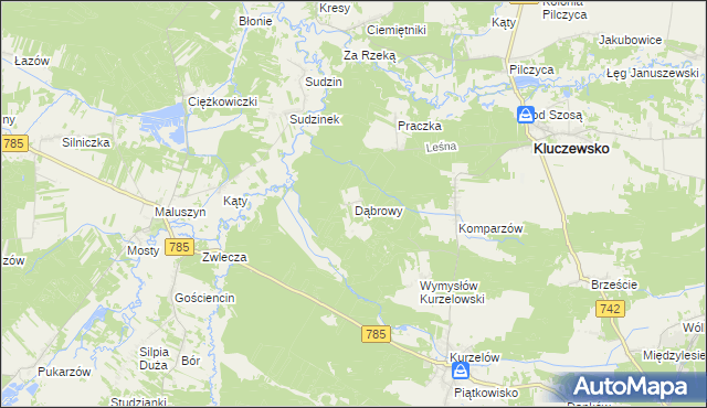 mapa Dąbrowy gmina Kluczewsko, Dąbrowy gmina Kluczewsko na mapie Targeo