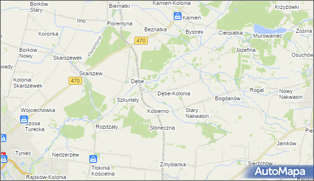 mapa Dębe-Kolonia, Dębe-Kolonia na mapie Targeo