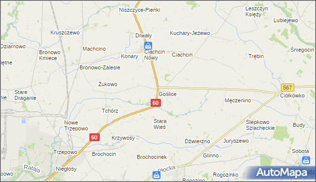 mapa Goślice, Goślice na mapie Targeo