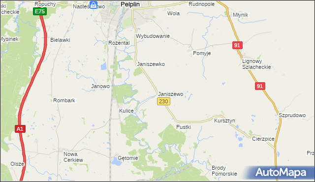 mapa Janiszewo gmina Pelplin, Janiszewo gmina Pelplin na mapie Targeo