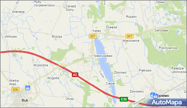 mapa Niepruszewo, Niepruszewo na mapie Targeo