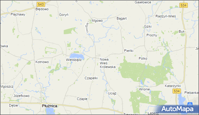 mapa Nowa Wieś Królewska gmina Płużnica, Nowa Wieś Królewska gmina Płużnica na mapie Targeo