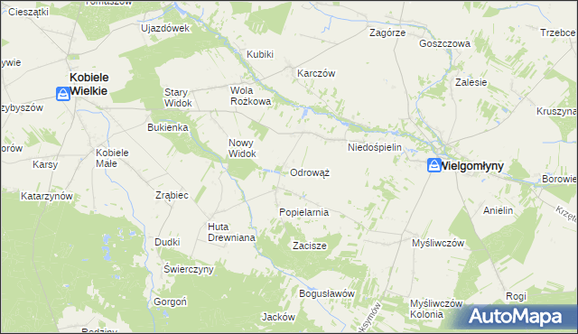 mapa Odrowąż gmina Wielgomłyny, Odrowąż gmina Wielgomłyny na mapie Targeo