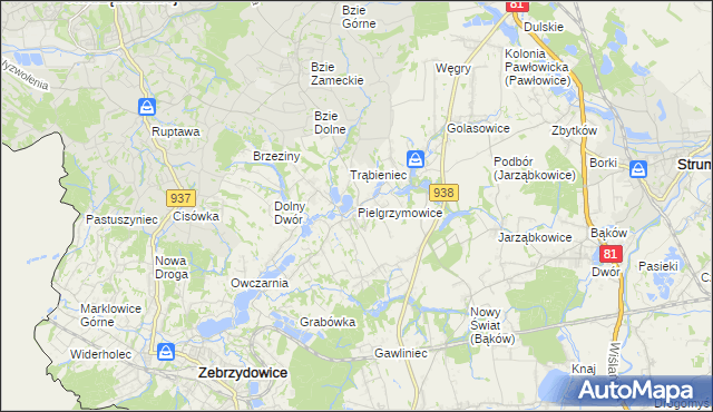 mapa Pielgrzymowice gmina Pawłowice, Pielgrzymowice gmina Pawłowice na mapie Targeo