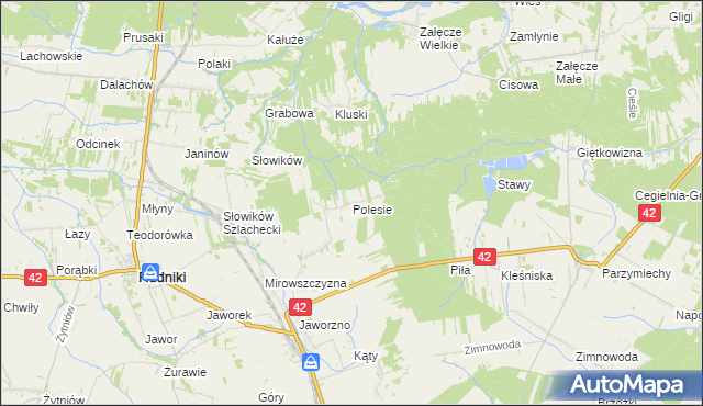 mapa Polesie gmina Rudniki, Polesie gmina Rudniki na mapie Targeo