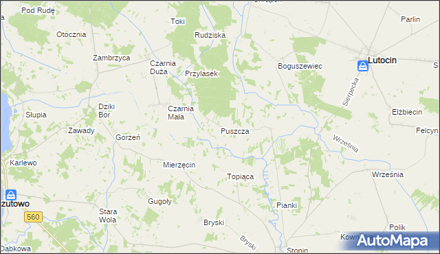 mapa Puszcza gmina Rościszewo, Puszcza gmina Rościszewo na mapie Targeo