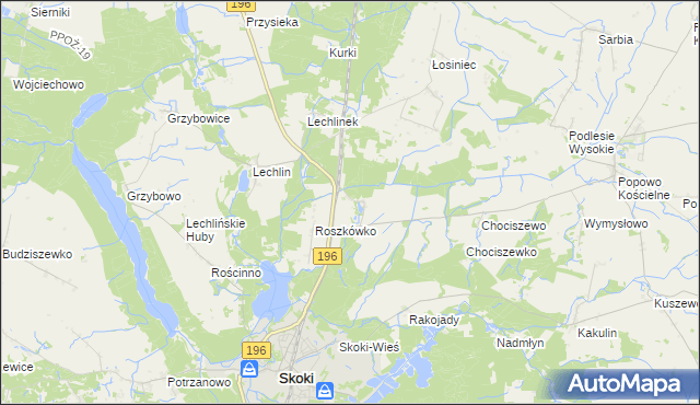 mapa Roszkowo gmina Skoki, Roszkowo gmina Skoki na mapie Targeo