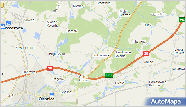 mapa Sokołowice gmina Oleśnica, Sokołowice gmina Oleśnica na mapie Targeo