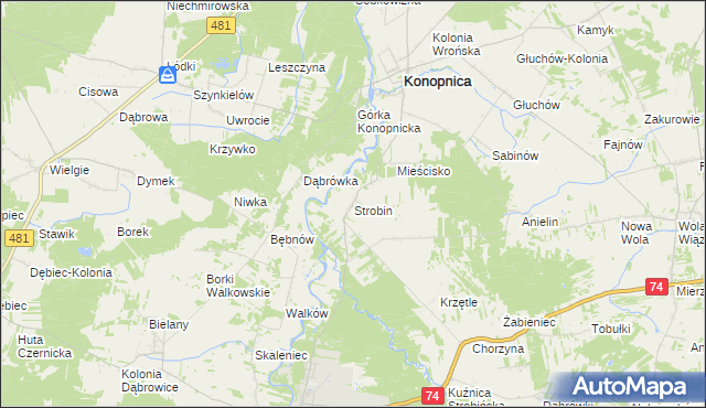 mapa Strobin, Strobin na mapie Targeo