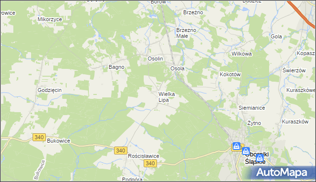 mapa Wielka Lipa, Wielka Lipa na mapie Targeo