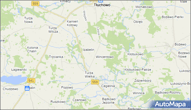 mapa Wincentowo gmina Brudzeń Duży, Wincentowo gmina Brudzeń Duży na mapie Targeo