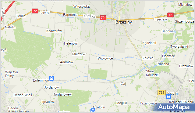 mapa Witkowice gmina Brzeziny, Witkowice gmina Brzeziny na mapie Targeo