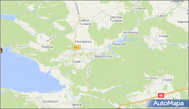 mapa Biestrzynnik, Biestrzynnik na mapie Targeo