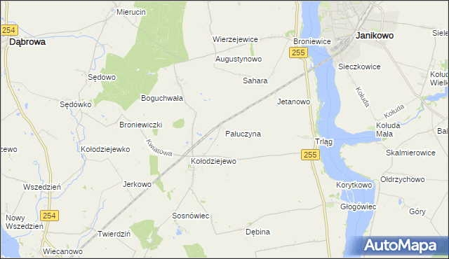 mapa Pałuczyna, Pałuczyna na mapie Targeo