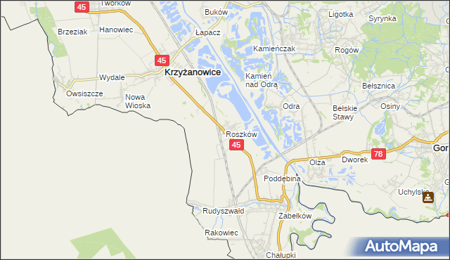 mapa Roszków gmina Krzyżanowice, Roszków gmina Krzyżanowice na mapie Targeo