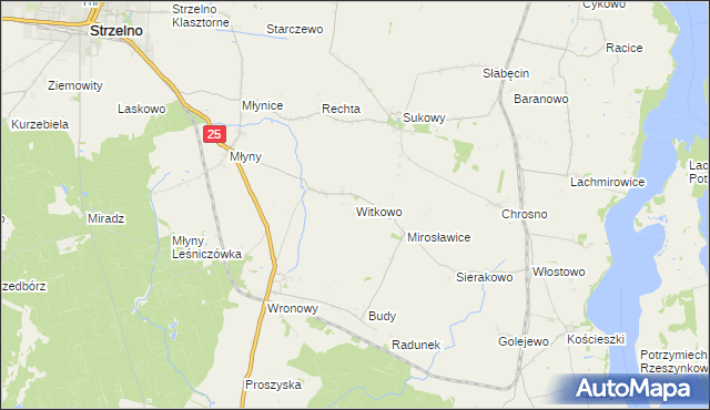 mapa Witkowo gmina Strzelno, Witkowo gmina Strzelno na mapie Targeo