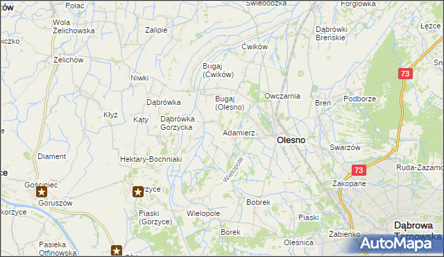 mapa Adamierz gmina Olesno, Adamierz gmina Olesno na mapie Targeo