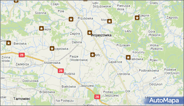 mapa Bajdy gmina Wojaszówka, Bajdy gmina Wojaszówka na mapie Targeo