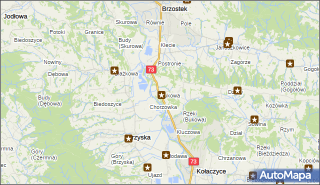 mapa Bukowa gmina Brzostek, Bukowa gmina Brzostek na mapie Targeo