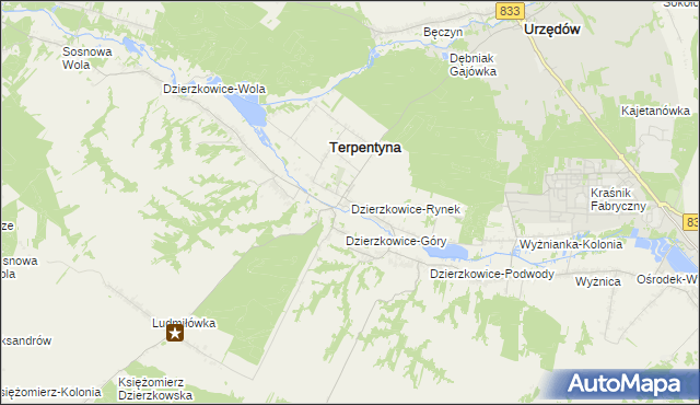 mapa Dzierzkowice-Rynek, Dzierzkowice-Rynek na mapie Targeo